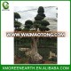 height 4m big ficus bonsai